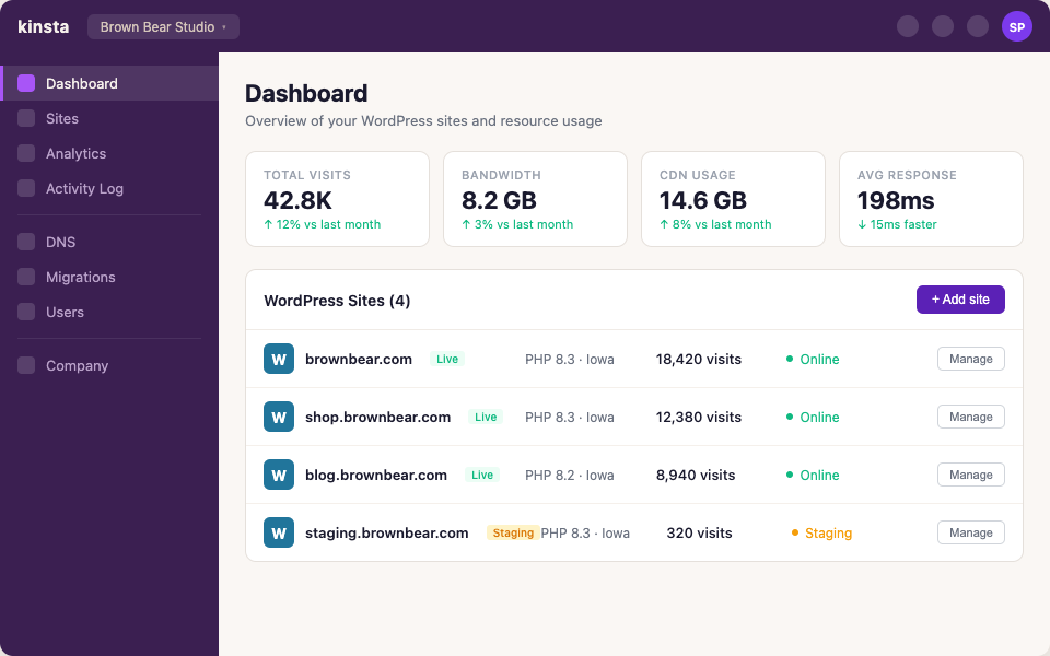 Kinsta dashboard interface