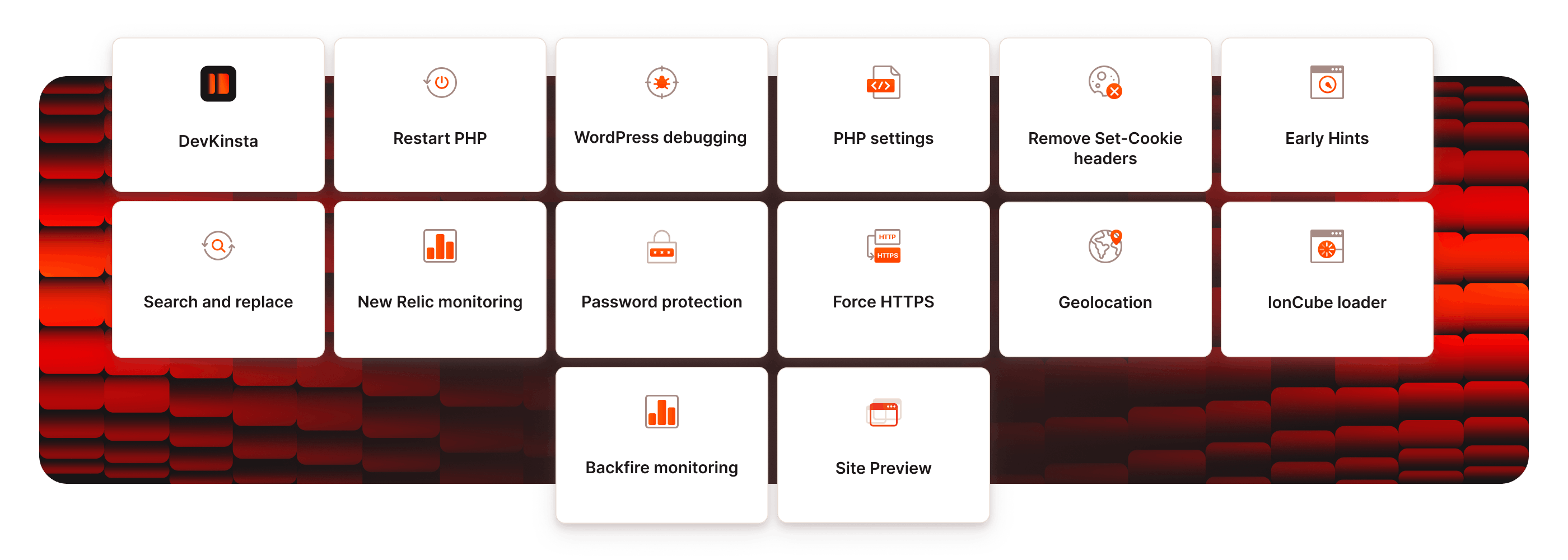 Kinsta feature overview